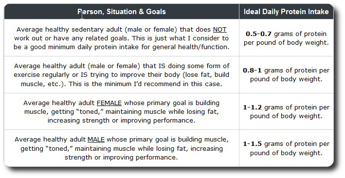 minimum protein per day for muscle gain minimum protein per day for muscle gain